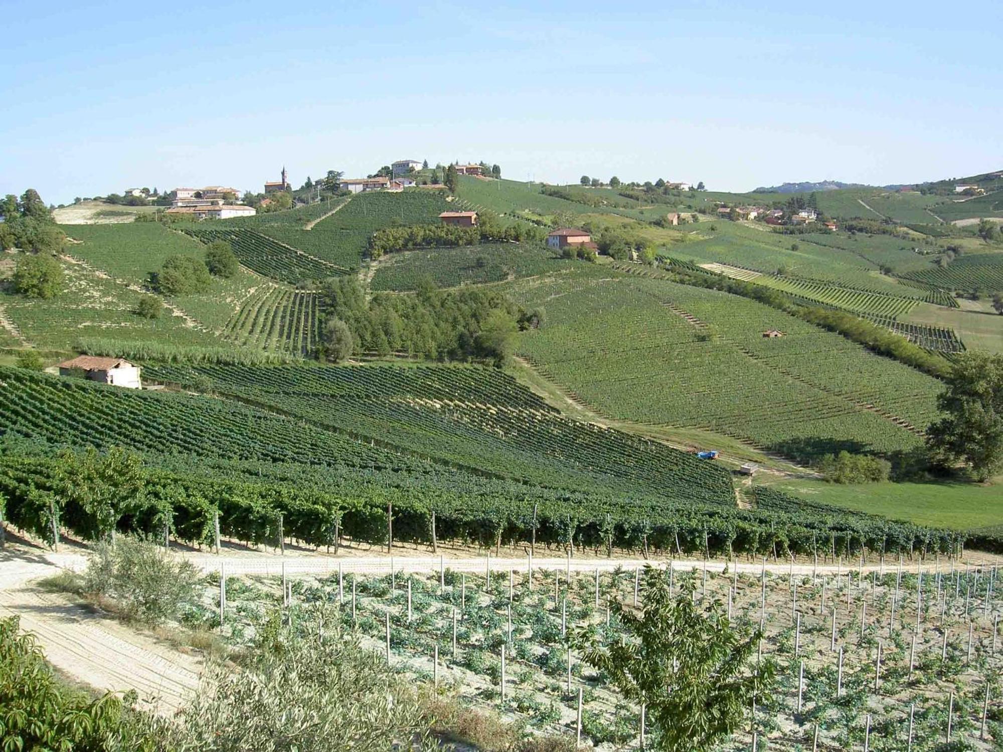 Agriturismo Vecchio Torchio Канеллі Екстер'єр фото